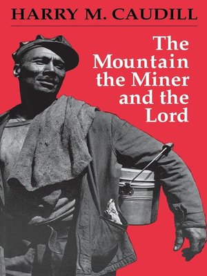 cover image of The Mountain, the Miner, and the Lord and Other Tales from a Country Law Office